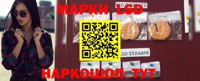 Альфа ПВП Канаш