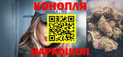 Альфа ПВП Канаш