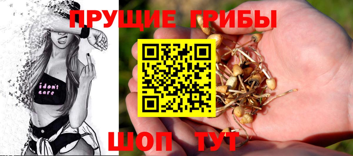 Галлюциногенные грибы ЛСД  Галлюциногенные грибы Cubensis  Тихорецк  Вход с VPN 